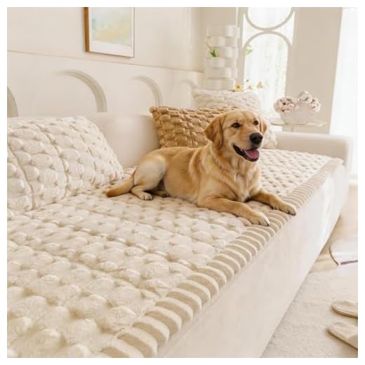 TGODGPY Pet Couch Cover for Dogs