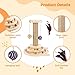 Kitten Scratching Post with Sisal, Interactive Toy for Cats with Wooden Balls, Feather, and Two-Tier Tracks for Play and Exercise