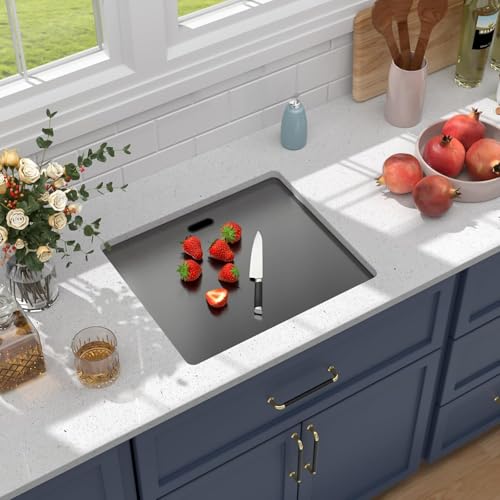 21 Inch Black Undermount Bar Sink Outdoor Kitchen Sink With Cover and Faucet 21x18x9 Inch 16 Gauge Stainless Steel Single Bowl Sink Indoor Outdoor