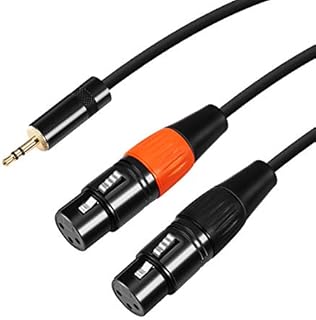 Devinal 1/8 inch TRS to Dual XLR Female Y-Adapter Cable, 3.5mm Mini Jack Stereo Male to 2 XLR Female Interconnect Breakout Y Patch Cable Cord 6 Feet (3 Meters 10FT)