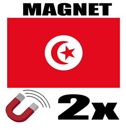 SAFIRMES 2 x Tunisie Drapeau Magnet 6x3 cm Aimant déco Tunisie magnétique frigo