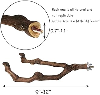 kathson Natural Parrot Perch Bird Stand Pole Wild Grape Stick Paw Grinding Fork Parakeet Climbing Standing Branches Toy Chewable Cage Accessories for Small Budgies Cockatiels Lovebirds 2PCS