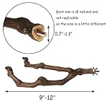 Natural Parrot Perch Bird Stand Pole Wild Grape Stick Paw Grinding Fork Parakeet Climbing Standing Branches Toy Chewable Cage Accessories for Small Budgies Cockatiels Lovebirds 3PCS - Image 4