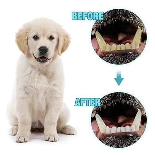 Suction Cup Dog Chewing Toy, CAMTOA Dog Rope Ball Toys