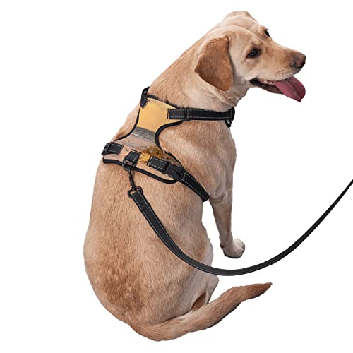 Harnais pour chien Sand Dunes premium réglable et confortable
