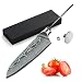 KATSURA Woodworking Project Kit - Santoku Knife Blank Hidden Tang - 5 Inch - Japanese Premium AUS 10, 67 Layers Damascus Steel - Perfect for Woodworkers, Crafters - Handcrafted Gift box - NO LOGO