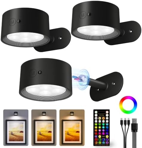 Picture Lights for Wall, Battery Operated Art Lights, Black 3 Pack