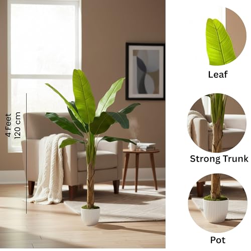 Image of Kayra Decor Artificial Banana Plant 4 Feet with Pot | Big Size Artificial Plants for Home Decor | Indoor Fake Tree for Living Room, Balcony, Office | Bird of Paradise Lifelike Plant with Pot