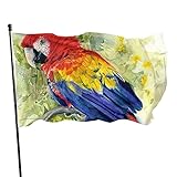 Ya sea primavera, verano, otoño o invierno, un día festivo nacional o una declaración de creencia, tenemos banderas para cada ocasión.