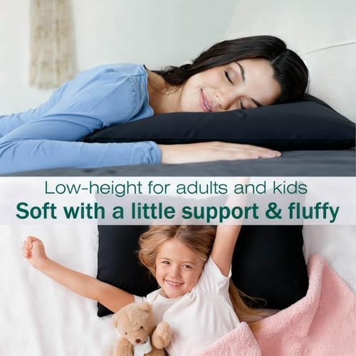 Image of Flat Ultra Thin Bed Pillows Standard Size Pillow Set of 2 Extra Soft Down Alternative for Stomach Back Sleeper Black 20x26inches