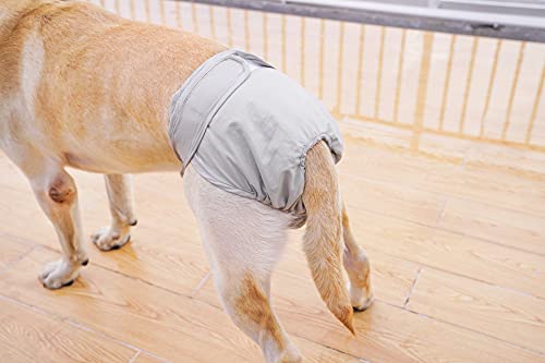 BePetMia Waschbare Windeln für Hunde, Wiederverwendbare Hundewindeln, Umweltfreundliche Damenbinden Höschen, Hygiene-Unterhose für Hunde in Hitze (XL: 60-82cm, Beige)