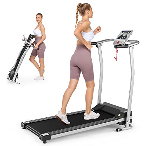 aceshin electric bike