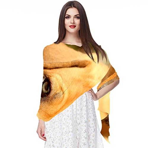 Foulard en mousseline de soie femme motif chats chiens écharpe légère multicolore 16