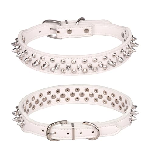 SUNCN ̎ PUU[ X^bY 5  ^ ^  ߉\ ݏh~ Pp (XL,zCg)