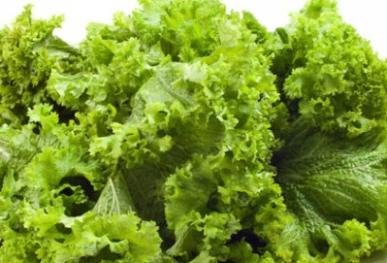 500 Old Fashioned Mustard Seeds for Planting Heirloom Non GMO 1.5+ Grams Garden Vegetable Bulk Survival - Image 4