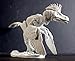 Creative Beast Studios Beasts of The Mesozoic: Velociraptor Build-a-Raptor 1:18 Scale Figure Set B