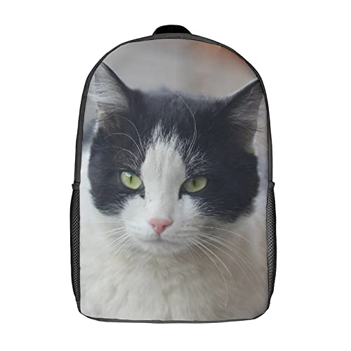 Sac d'école chat pour enfants : fini le désordre avec ce grand sac à dos de 17 pouces en 3D