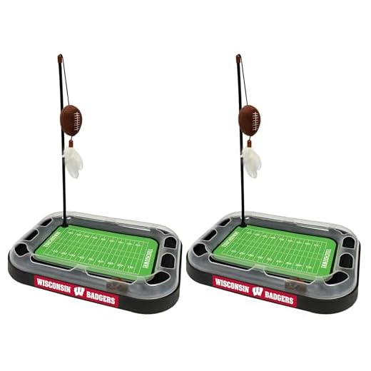 Wisconsin Badgers Cat Scratcher & Toy