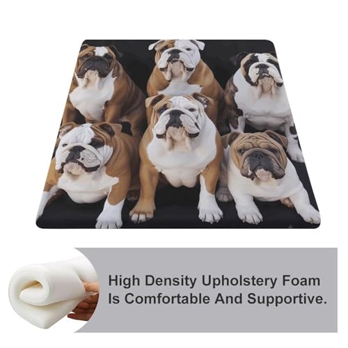 Cojín de espuma viscoelástica de bulldogs ingleses para tapete de asiento 4