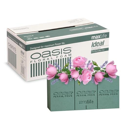 Oasis Pack de 20x Espumas Florales Naturales para flor cortada - Caja de 20 Esponjas Para Flores Naturales(1 unidad - 23x11x8) - Herramienta Esencial para Arreglos Florales (1) Oasis Pack de 20x Espumas Florales Naturales para flor cortada - Caja de 20 Esponjas Para Flores Naturales(1 unidad - 23x11x8) - Herramienta Esencial para Arreglos Florales (1)