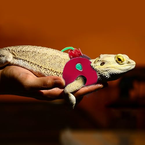 Image of AIITLE Adjustable Bearded Dragon Harness Set - Soft, 3-Size Reptile Leash for Crested Geckos, Iguanas, Guinea Pigs, Rats (Indoor /Outdoor Use, Camping, Parties),Red
