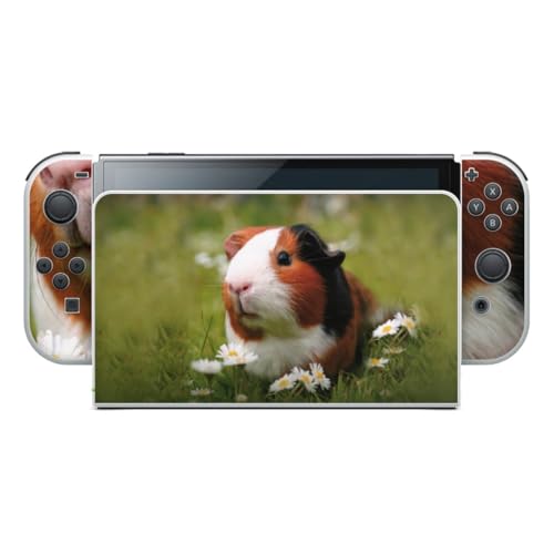 DeinDesign Nintendo Switch OLED Skin Meerschweinchen