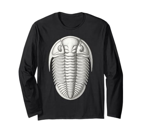 Neseuretus Trilobite Fossil ? �I���h�r�X�I�Ð����w�A�[�g ����T�V���c