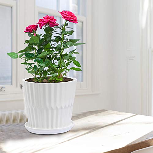 Plant-Pots-67-Inch-Cylinder-Ceramic-Planters-with-Connected-Saucer-Pots-for-Succuelnt-and-Little-Snake-Plants-Set-of-2-White Plant-Pots-67-Inch-Cylinder-Ceramic-Planters-with-Connected-Saucer-Pots-for-Succuelnt-and-Little-Snake-Plants-Set-of-2-White