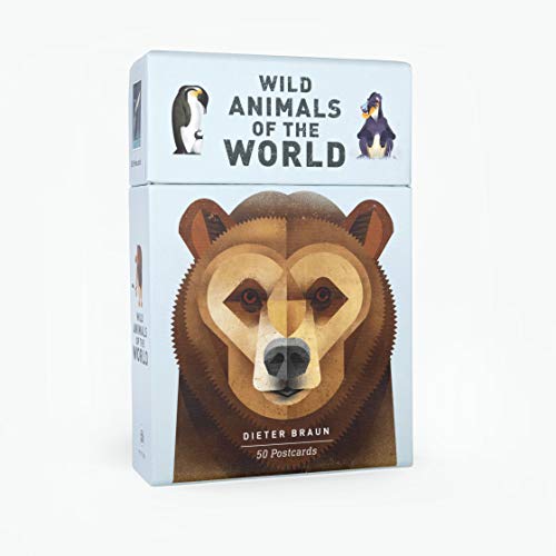 Wild Animals of the World: 50 Postcards - Image 2