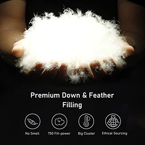 Homelab Premium Goose Feathers Down Comforter Full/Queen Size All Season Luxurious Duvet Insert, Ultra Soft 750 Fill-Power Hotel Quality Medium Weight Warmth Comforter With Corner Tabs(90X90, White) #TOP4