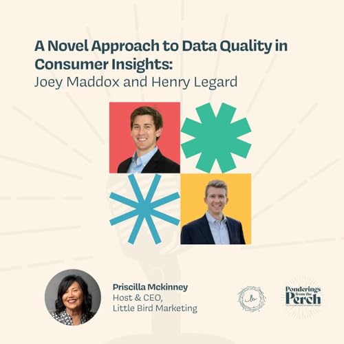 A Novel Approach to Data Quality in Consumer Insights