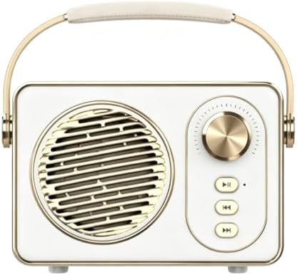 Wireless Bluetooth Speaker 360 Surround Portable