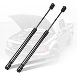 SYKRSS 4153 Front Car Hood Struts Shock Lift Supports Gas Spring Compatible with F-150 2004-2008 Compatible with Lincoln Mark LT 2008 Replacement SG404075 8196257 RB8795310 Hood Lift Support, 2 Pcs