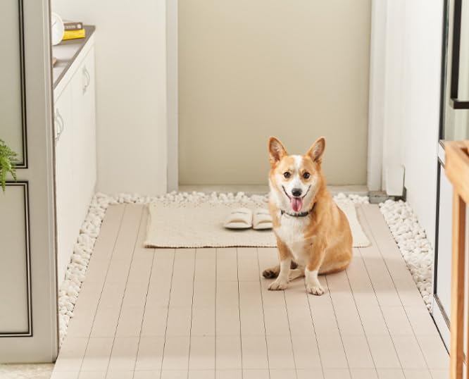 Miniatura 4 de Grava natural blanca BOMCHAN de 20 libras para paisajismo (4 veces lavadas) guijarros para plantas, piedras decorativas para jarrones de jardín,