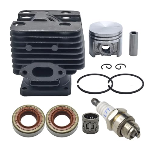 Segment de rechange pour cylindre 40 mm de débroussailleuse FS250 FS120