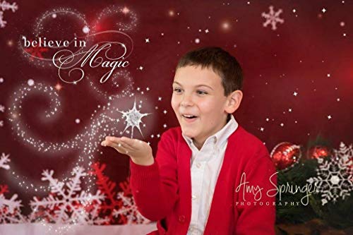 Kate 10X6.5Ft Christmas Backdrops For Photography Snowflake Red Photo Backdrop Studio Background #TOP1