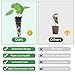 79 Pcs Seed Pod Kit Compatible with Aero Garden and All Brands - Grow Anything Kit for Indoor Garden Hydroponics Growing System with 24 Grow Sponges, 12 Grow Baskets, 12 Domes, 30 Labels & 1 Tweezer