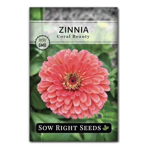 Sow Right Seeds - Zinnia Coral Flower Seeds for Planting