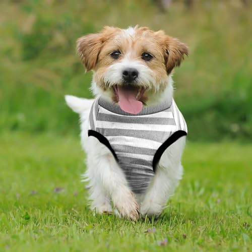 Hundebody nach Operationen, Hundebody nach Operationen, Auslaufschutz, weicher Genesungsanzug für Hunde, Schutzanzug für Hunde (1 Stück – XS)