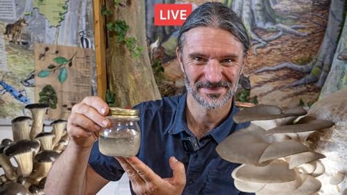 Coltivare funghi. Tutte le potenzialit&agrave; della micologia