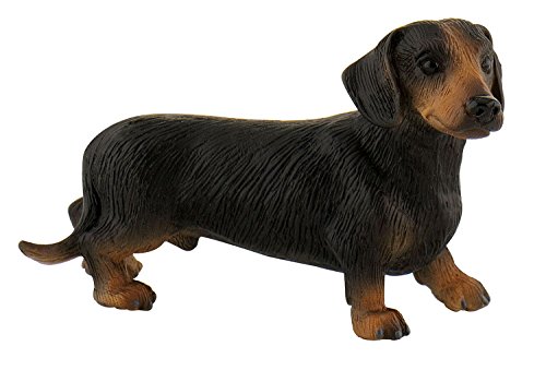 Bullyland 65441 - Spielfigur Kurzhaar-Dackel Appollo, ca. 7,4 cm große Tierfigur, detailgetreu, PVC-frei, ideal als kleines Geschenk für Kinder ab 3 Jahren
