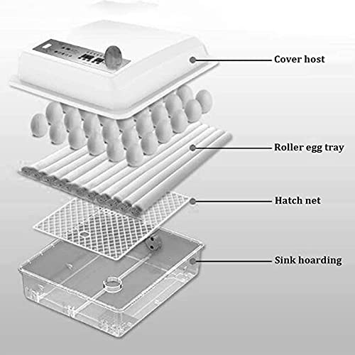Incubator ei 56 eieren automatische karton transparante led display temperatuurregeling, gebruikt voor kippen, eenden… - Afbeelding 3