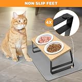 Keramischer Futternapf mit 15° Gekippter Katzenstation, Metallhalter und Silikonunterlage, 350ML Fressnapf und Wassernapf für Katzen und Hunde