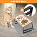 Keramischer Futternapf mit 15° Gekippter Katzenstation, Metallhalter und Silikonunterlage, 350ML Fressnapf und Wassernapf für Katzen und Hunde