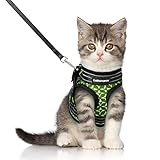 correas para gatos mercadolibre 【Diseño de Antiescape y Doble Seguridad】: Este arnés de chaleco para gatos está diseñada con velcro y hebilla de liberación, con doble seguridad para evitar que el gato se escape. El resistente anillo en D en la parte posterior se puede conectar a una correa. El diseño estilo chaleco distribuye de manera uniforme la presión de la correa en el pecho y el hombro, evitando tirones y asfixia. En comparación con el arnés normales, ofrece mayor comodidad y seguridad.