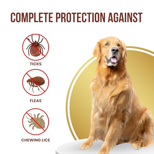 Medfly Healthcare Spot On for Dogs Solution for The Prevention and Treatment of Flea, Tick, and Chewing Lice Infestations - Pack of 3