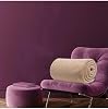 Mulberry Wellsoft Television Blanket Plush Blanket Double 220  230 Coffee with Milk coffee with milkDouble