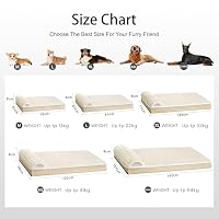 Jolibean Orthopädisches Hundebett Grosse Hunde Mit Kissen, 122x76cm – Ansicht 7