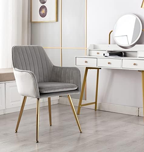 DMF Modern Velvet Accent Chair Set of 2 High Back Elegant Dinning Chairs with Arms in Living Guest Room (Grey Set of 2)