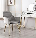 DMF Furniture Modern Velvet Accent Chair Set of 2 High Back Elegant Dinning Chairs with Arms in Living Guest Room (Grey)